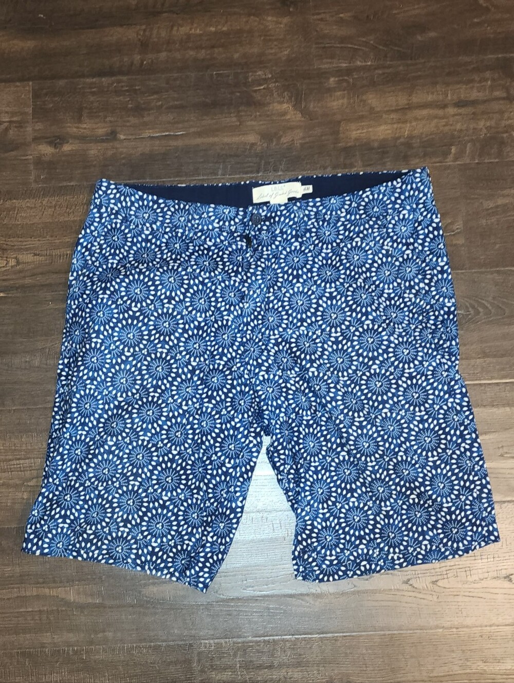 H&M L.O.G.G. BlueMedallion Print Shorts